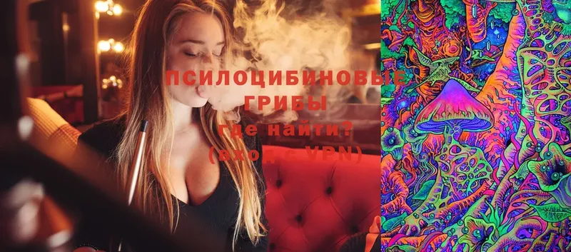 Псилоцибиновые грибы MAGIC MUSHROOMS  купить наркотик  MEGA ссылки  Лянтор 